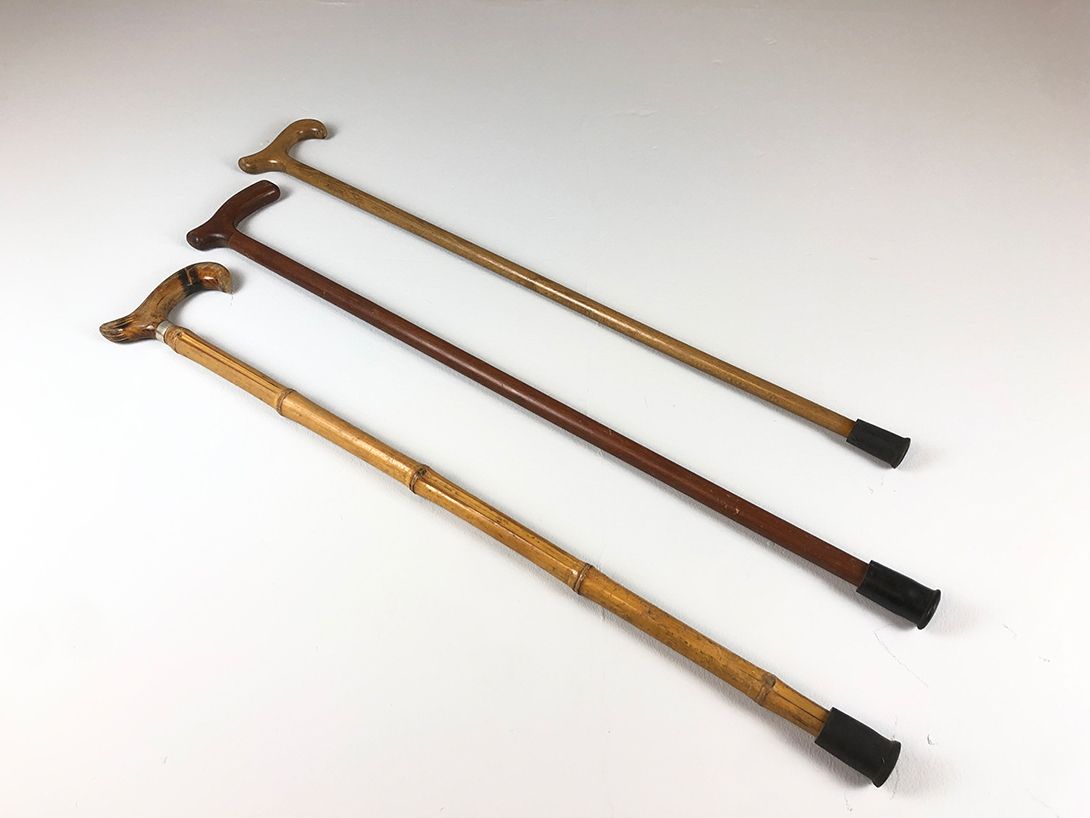 Foto Walking Stick