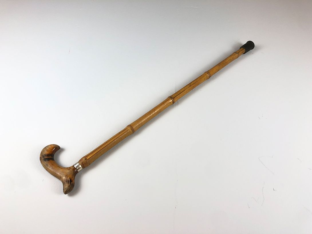 Foto Walking Stick