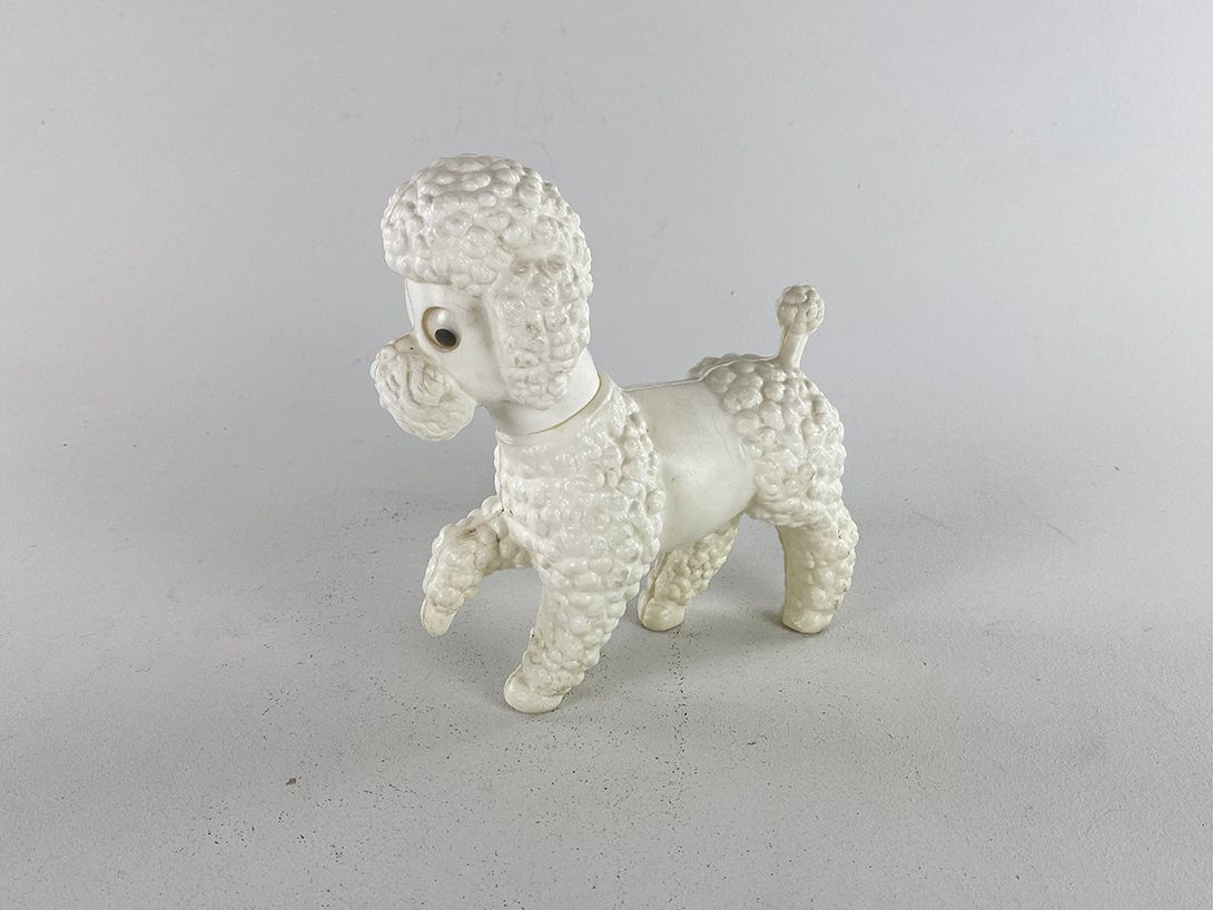 Foto White Toy Poodle
