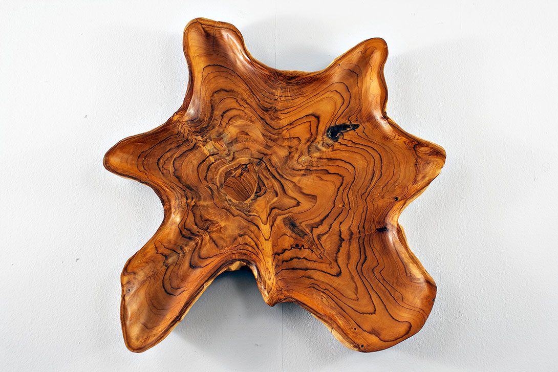 Foto Tree Trunk Bowl 45cm