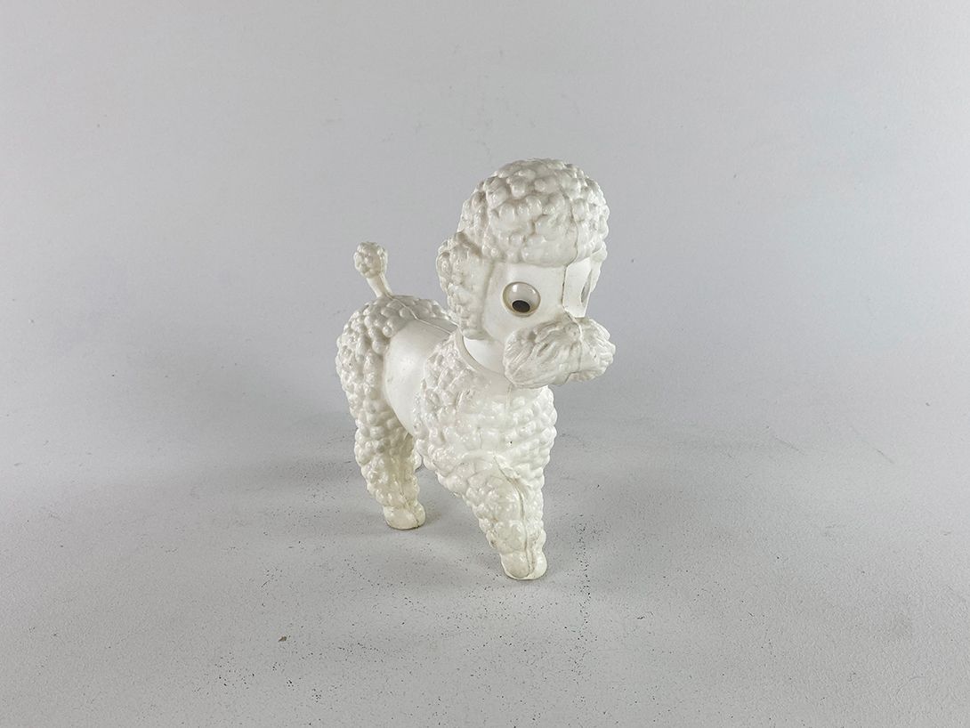 Foto White Toy Poodle