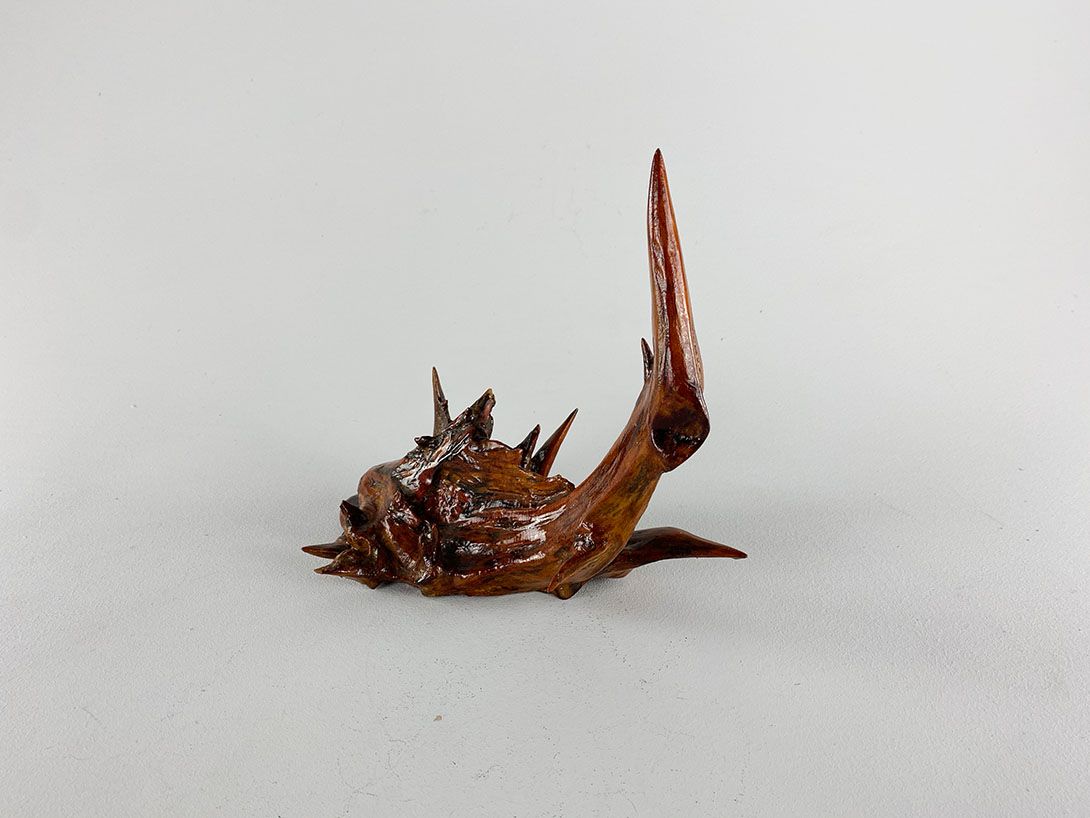 Foto Wooden Monkfish