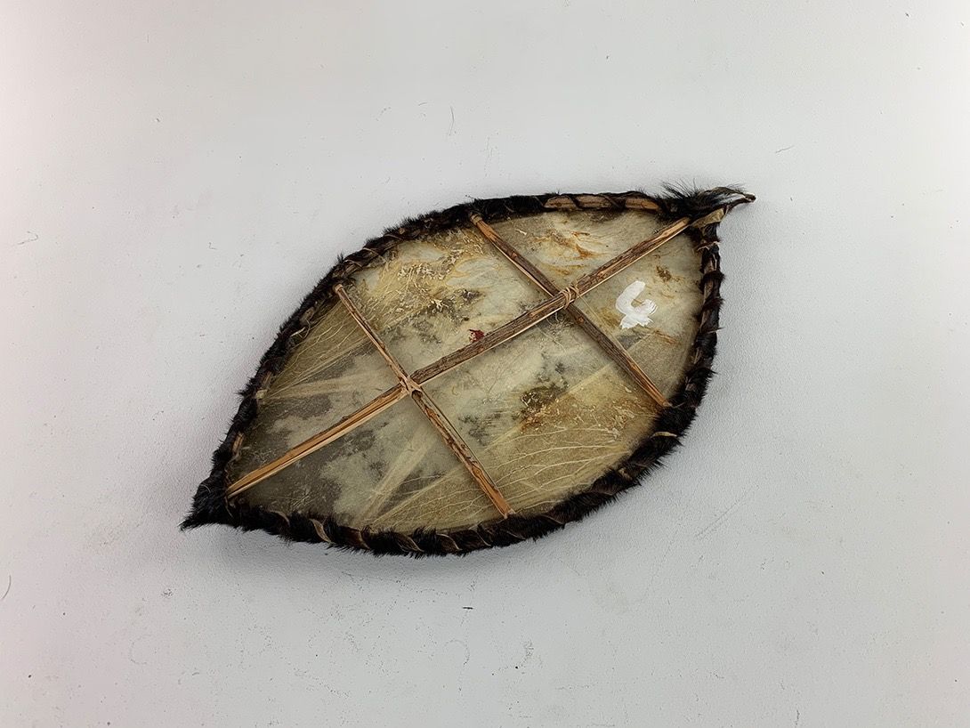 Foto Animal Skin Tribe Shield