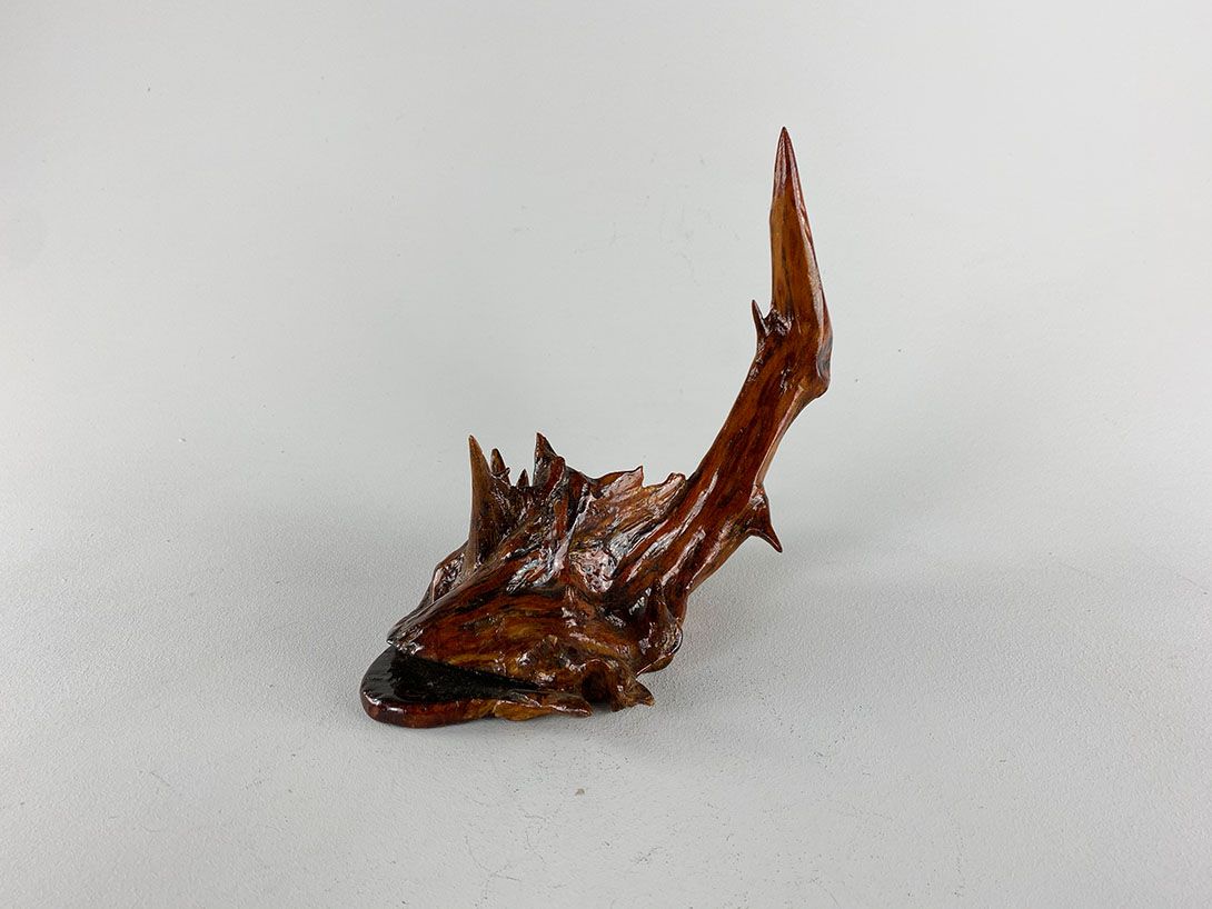 Foto Wooden Monkfish