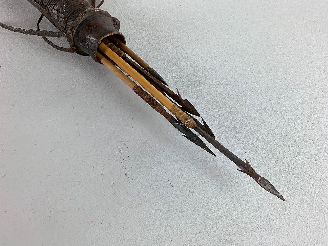 Foto Quiver and Arrows