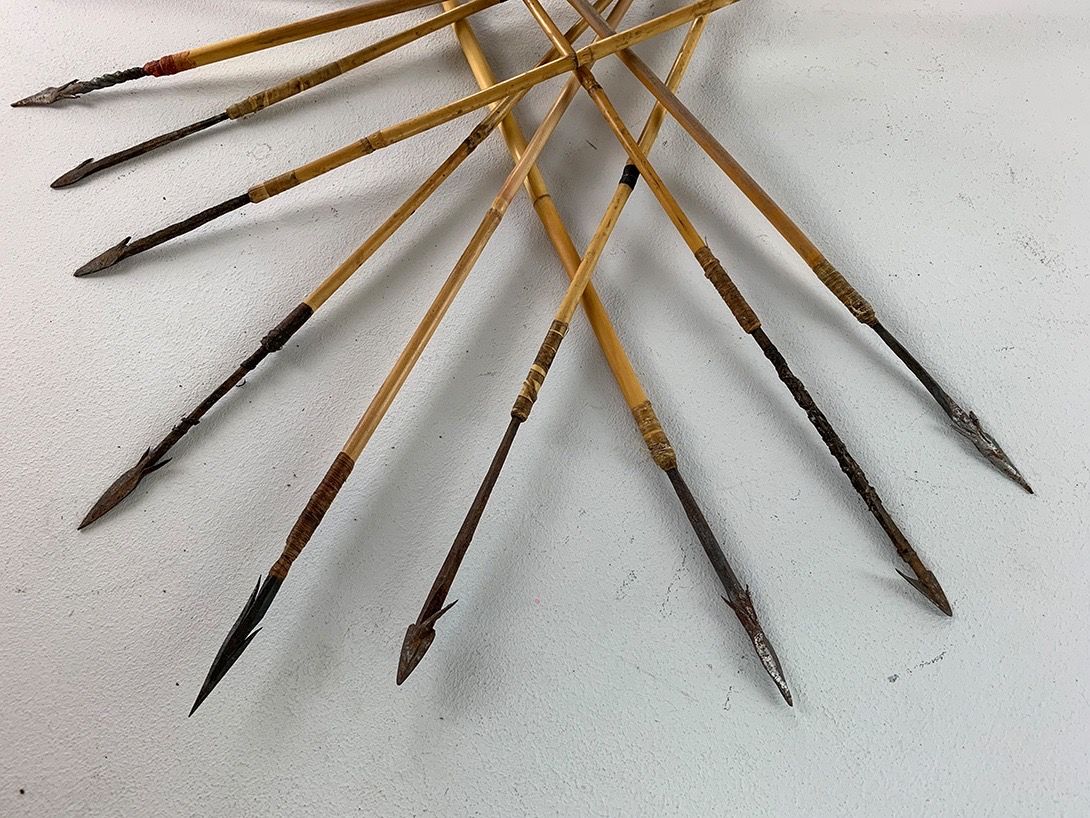 Foto Quiver and Arrows