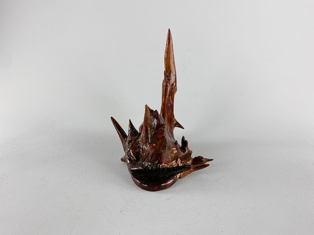 Foto Wooden Monkfish