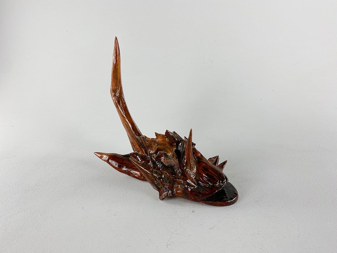 Foto Wooden Monkfish