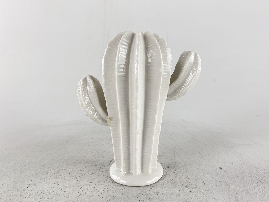 Foto White Porcelain Cactus Vase