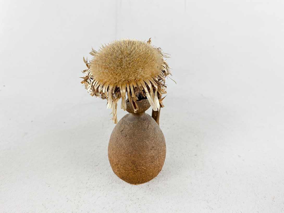 Foto Dry Sunflower in Brown Vase