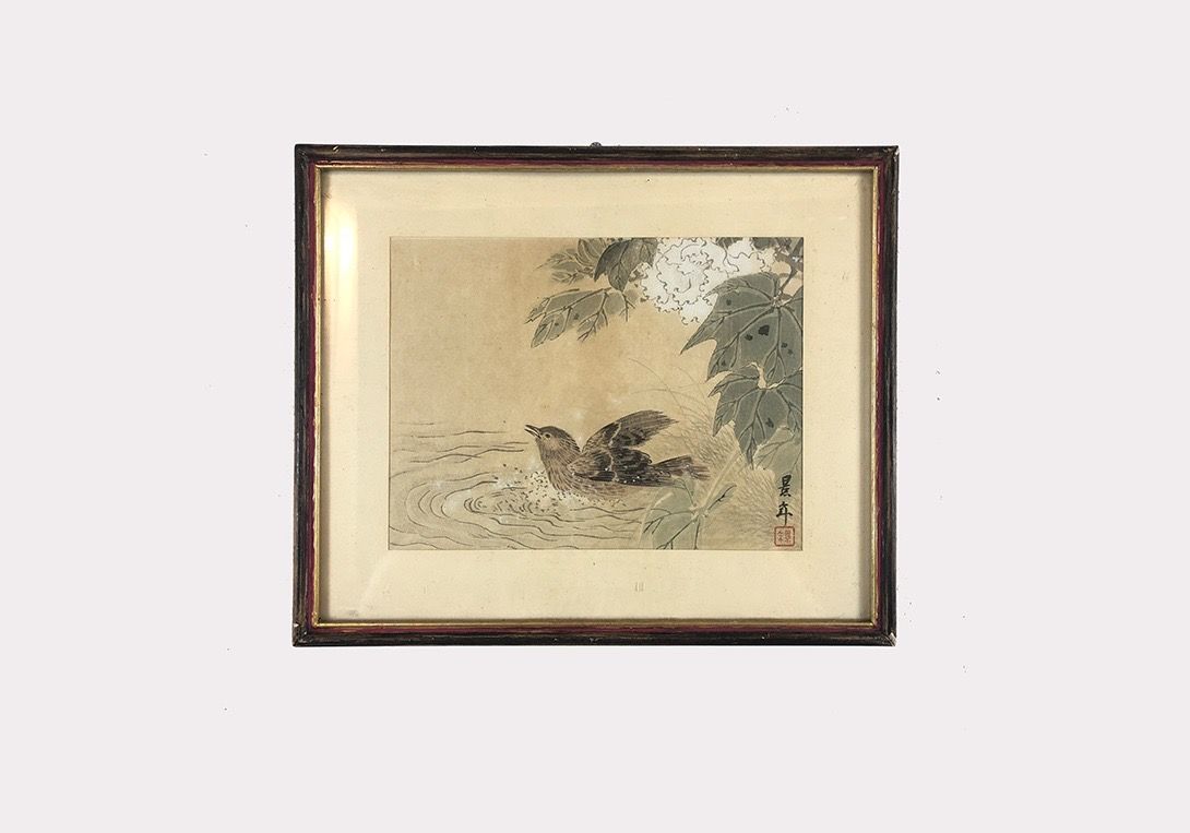 Foto Chinese Painting Of a Bathing Bird h27x32 24B10