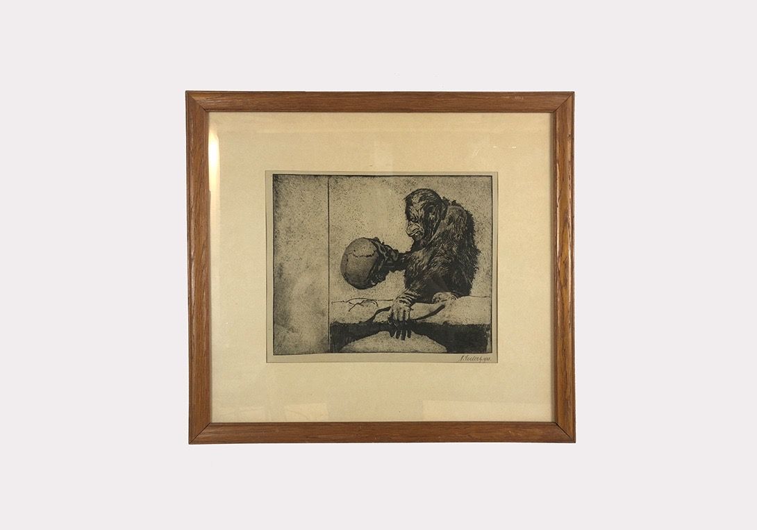 Foto Framed Drawing of Monkey Holding Skull h53x58 24A9