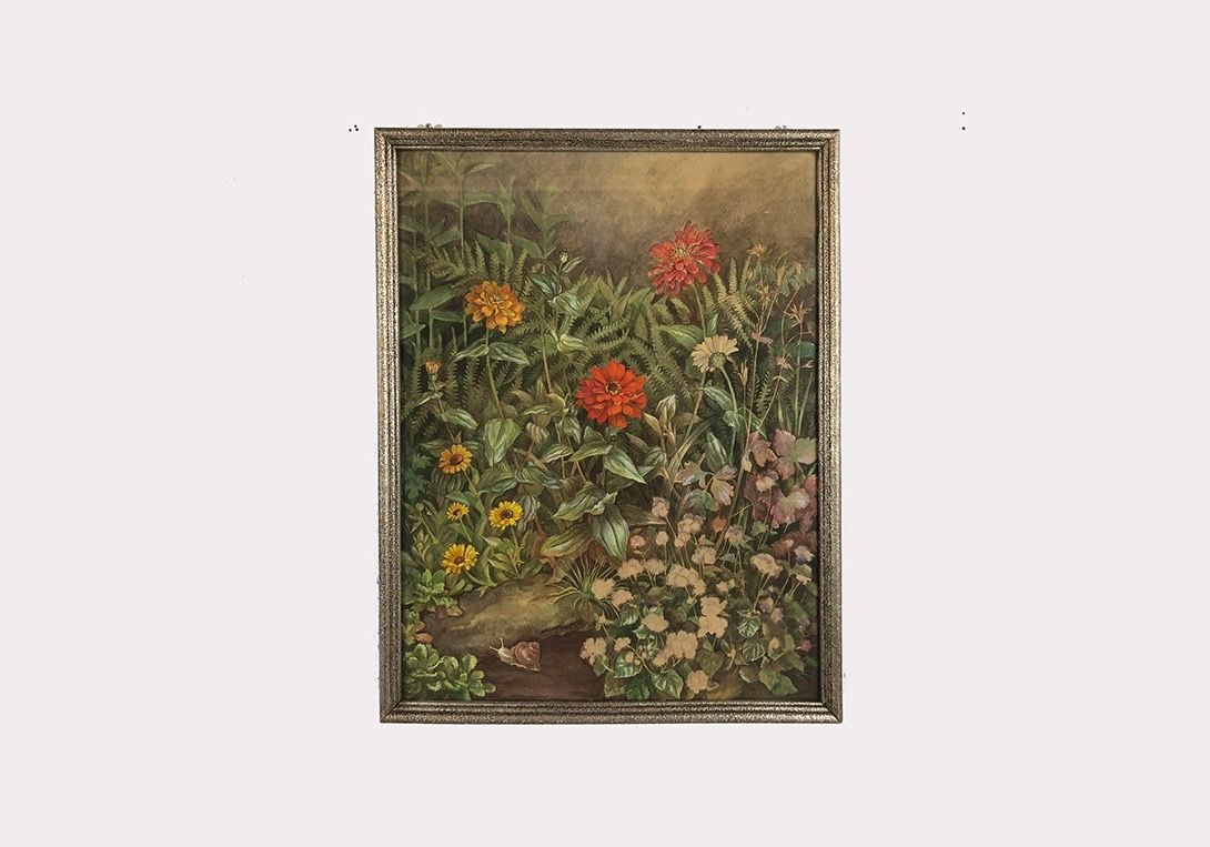 Foto Watercolor Painting of Wild Flowers Oderbruch 1930 h68x53 25E6