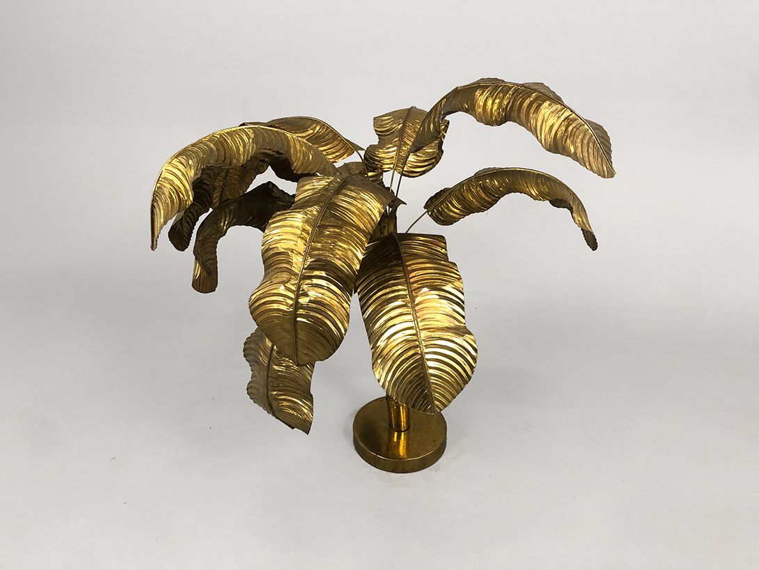 Foto Brass Palm