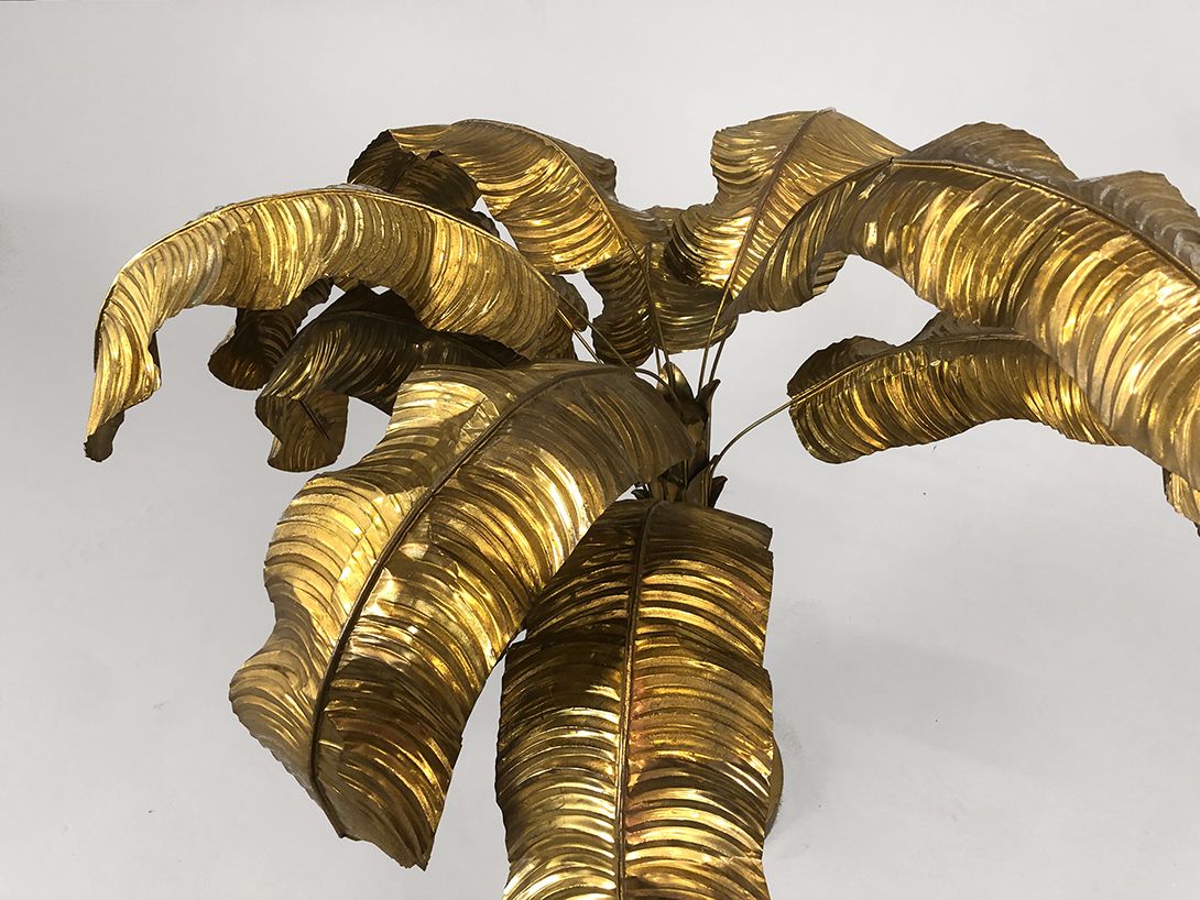 Foto Brass Palm