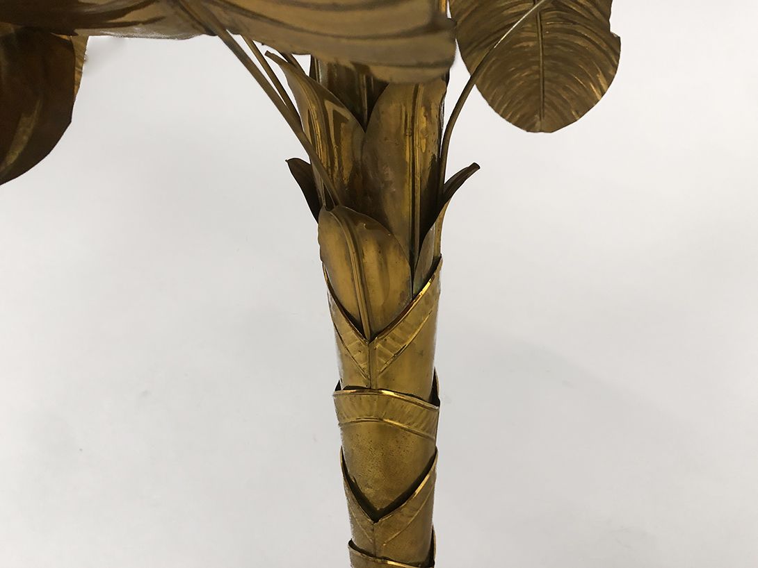 Foto Brass Palm