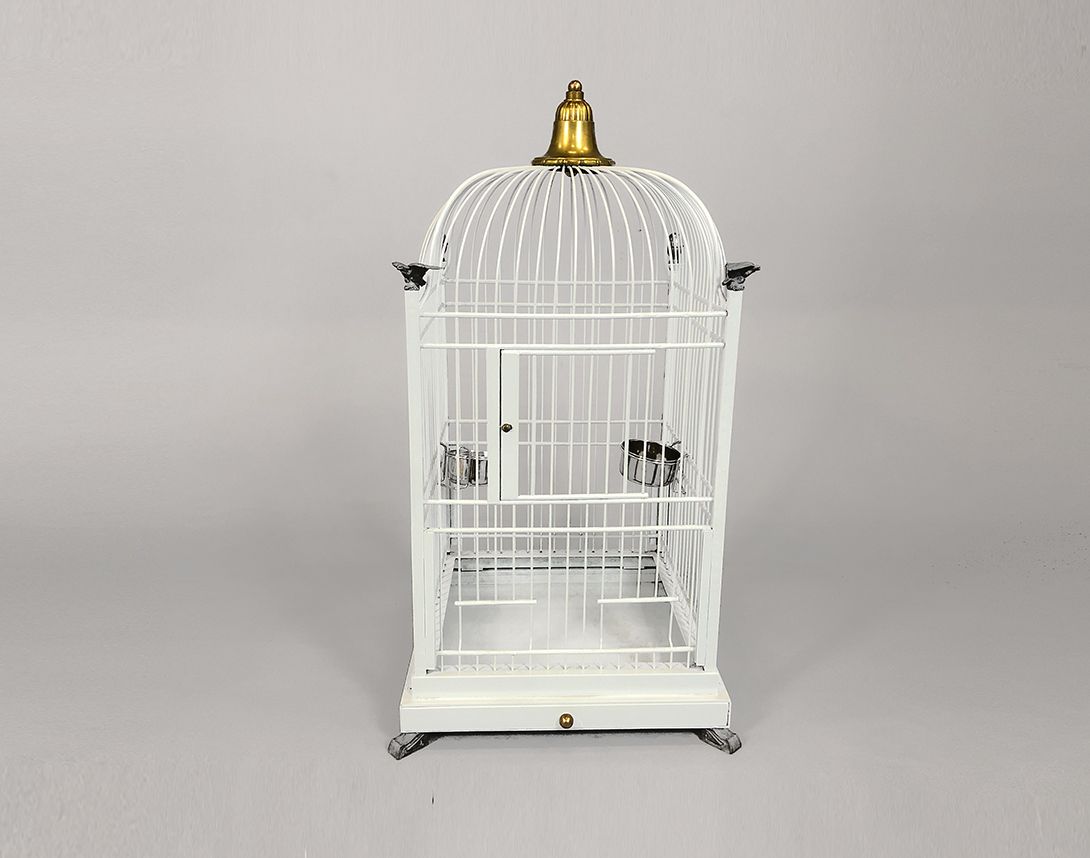Foto White Bird Cage with Food and Water Bowls and Four Eagles