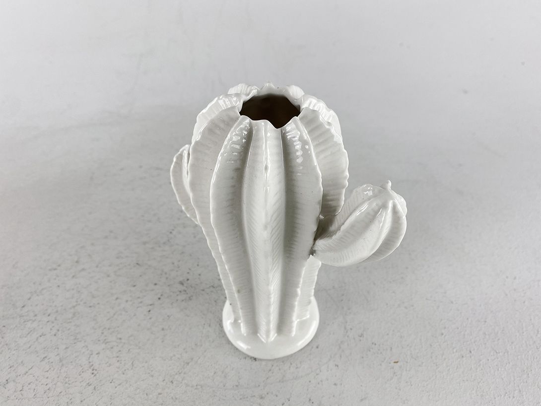 Foto White Porcelain Cactus Vase
