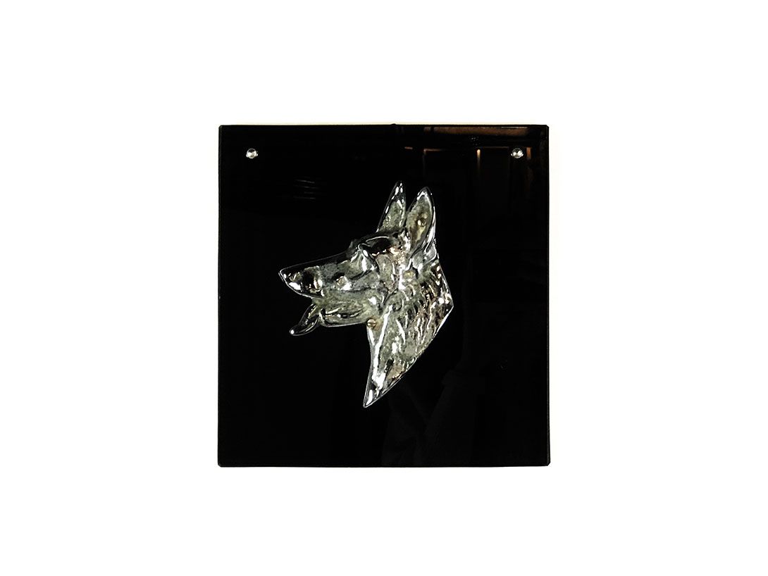 Foto Chrome Dog on Black Plate 9A45