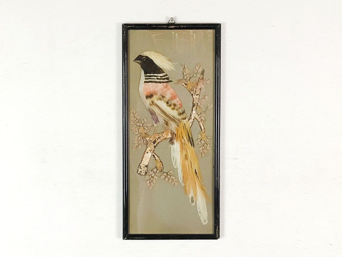 Foto Bird Artwork made of Real Feathers, Mexico 1925 24B17