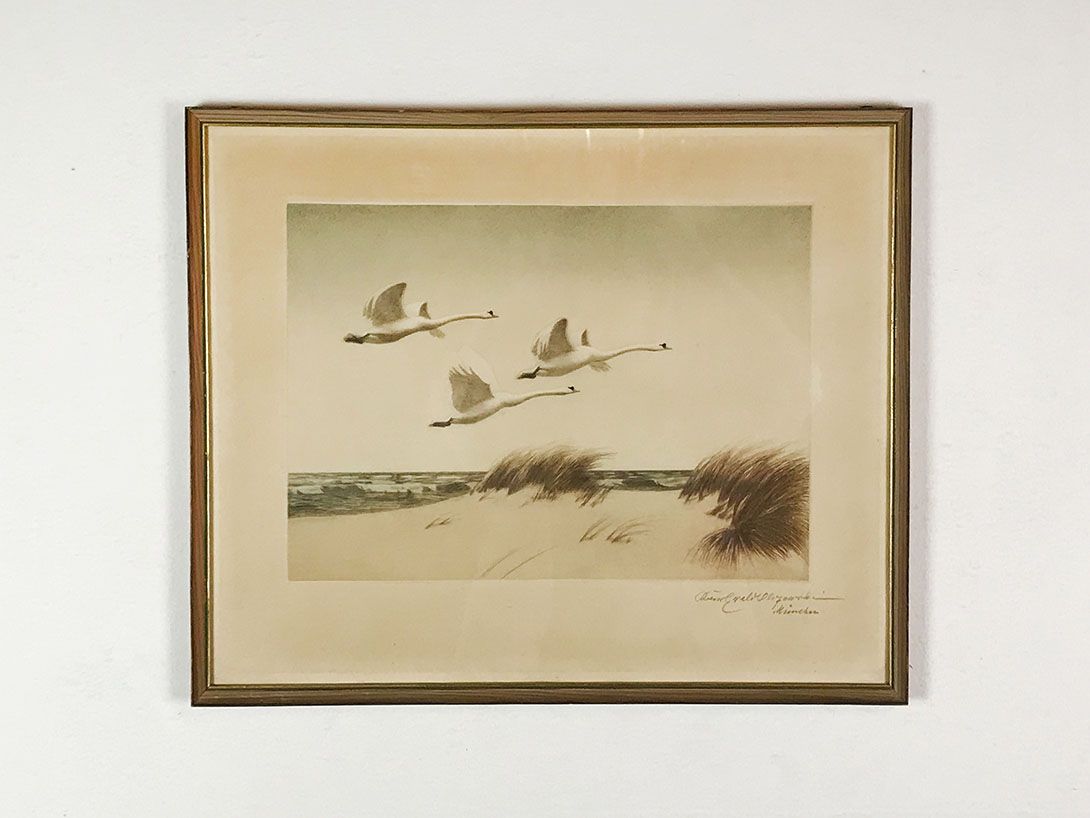 Foto Drawing of Flying Swans, Munich 24D3