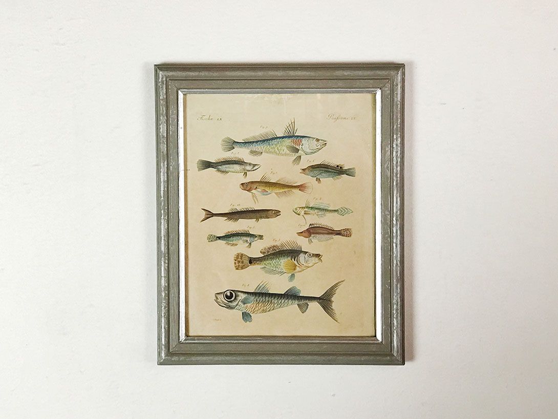 Foto Drawing of Fish 24B2