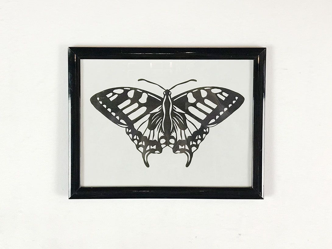 Foto Black and White Print of a Butterfly 24B3