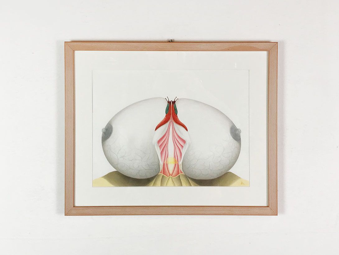 Foto Feminist Art h44x54 11B14