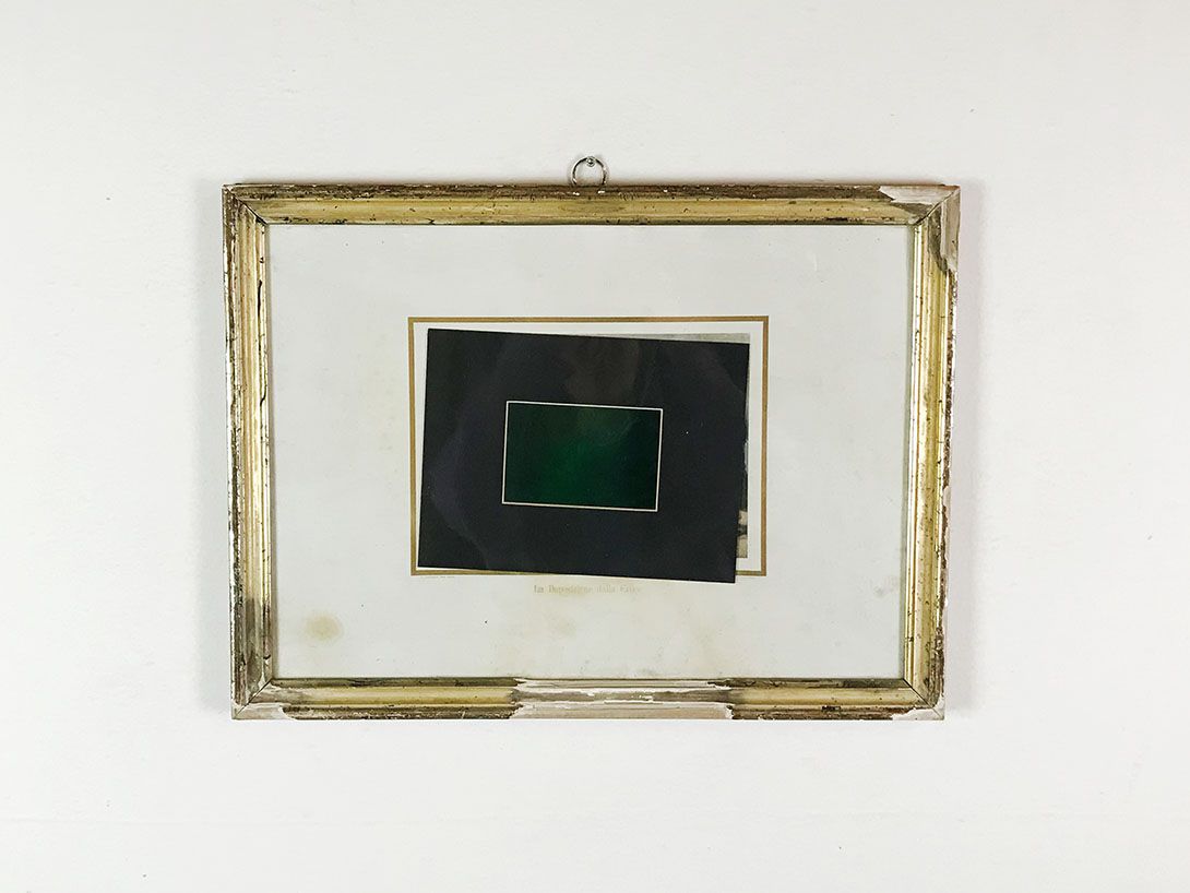 Foto Framed Holographic Shark 24D1
