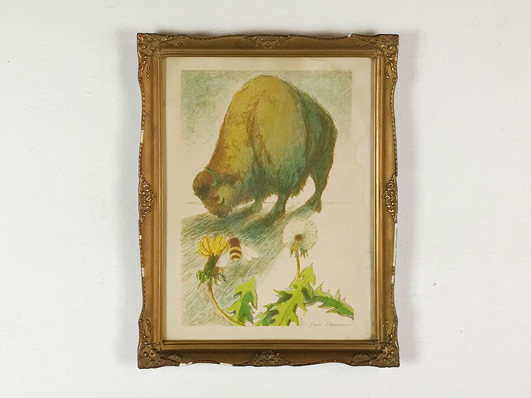 Foto Drawing of a Bison 24D13