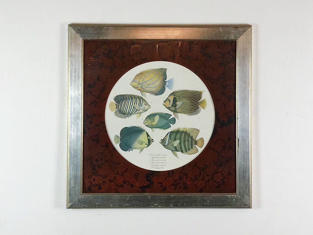 Foto Square Drawing of Fish 31A4 //