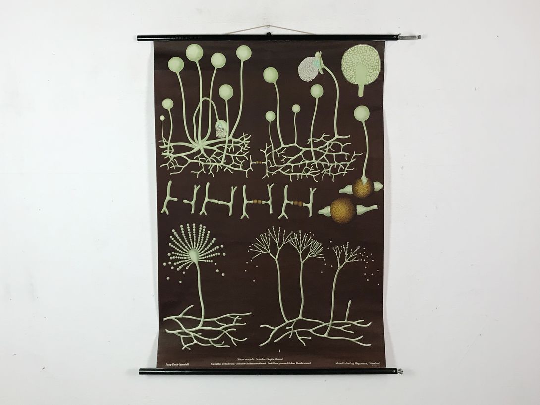 Foto School Chart Mould h116x92 10009