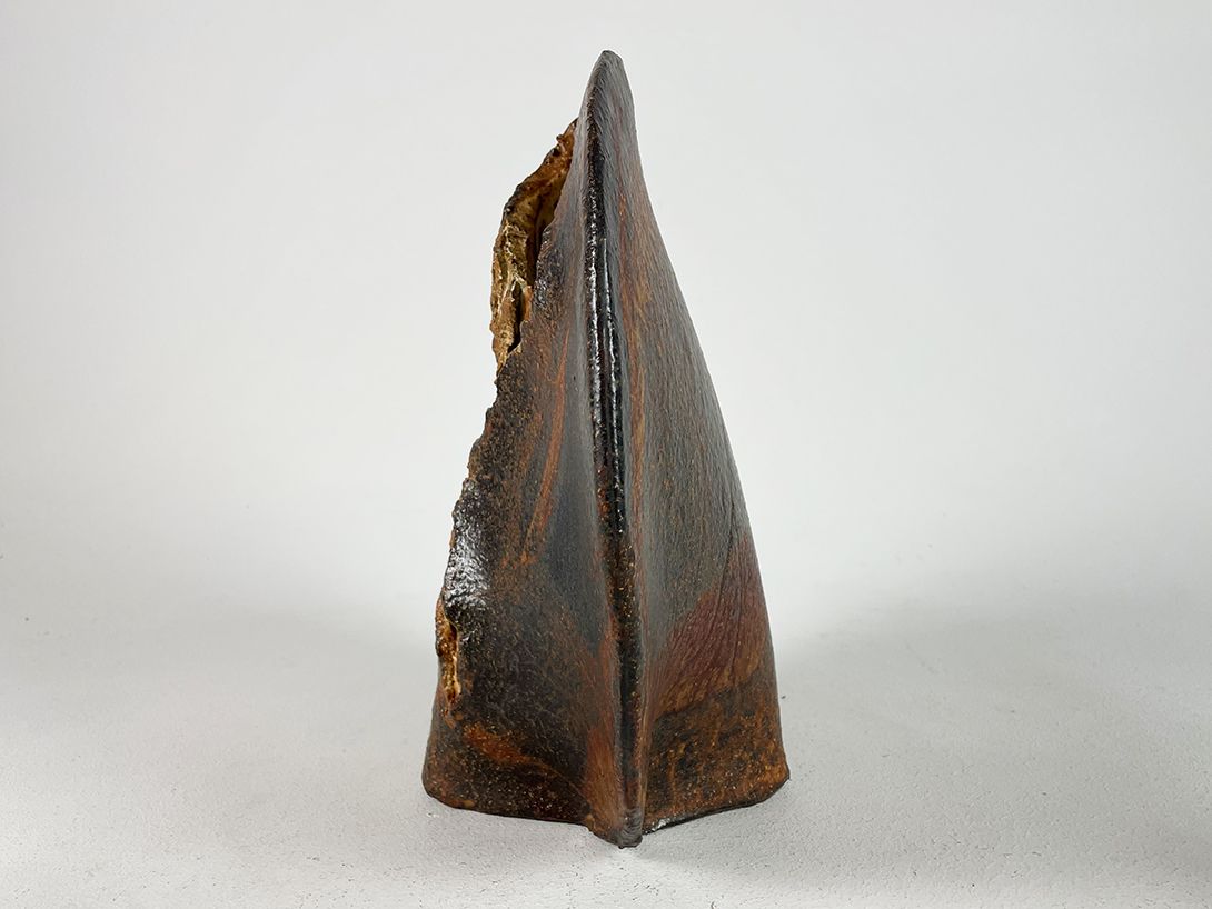 Foto Brown Ceramic Sculptural Vase h33 D6