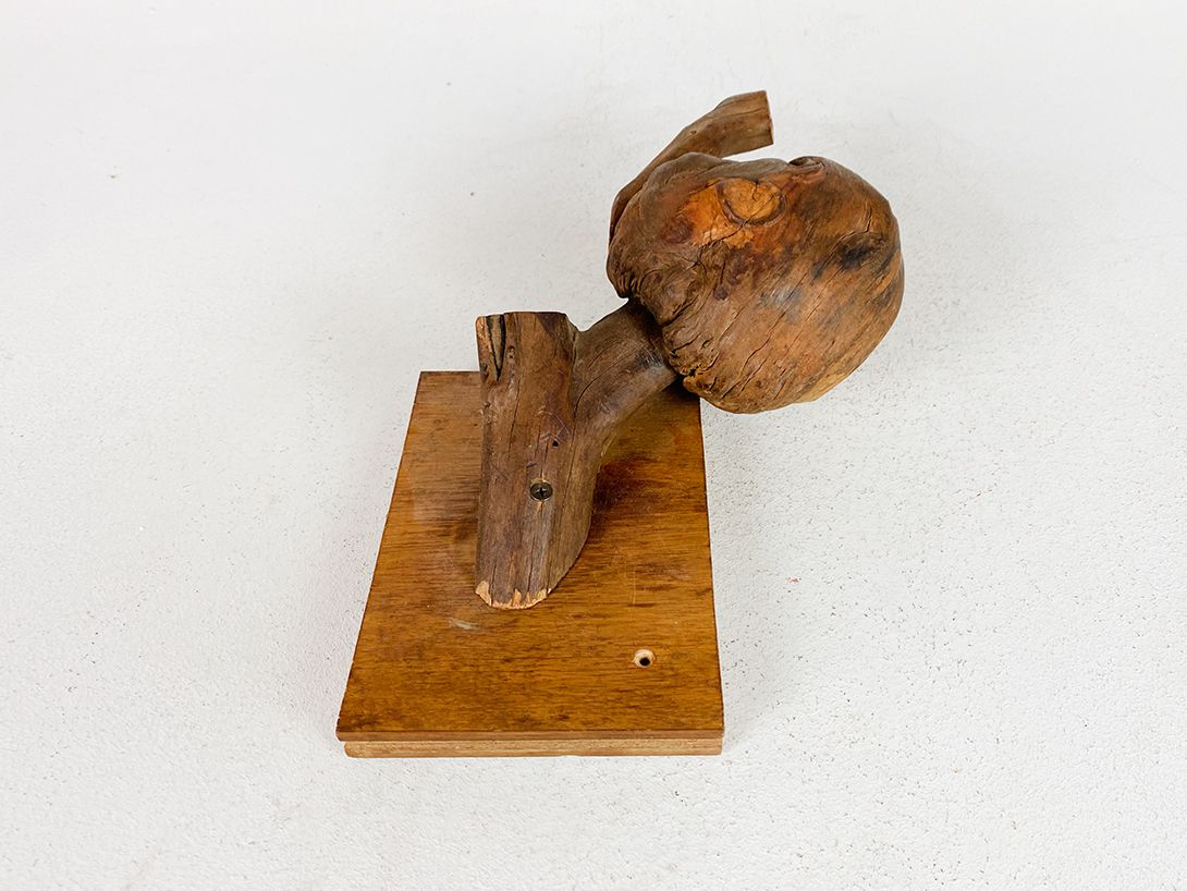 Foto Wooden Branch Sculpture h13x34x13
