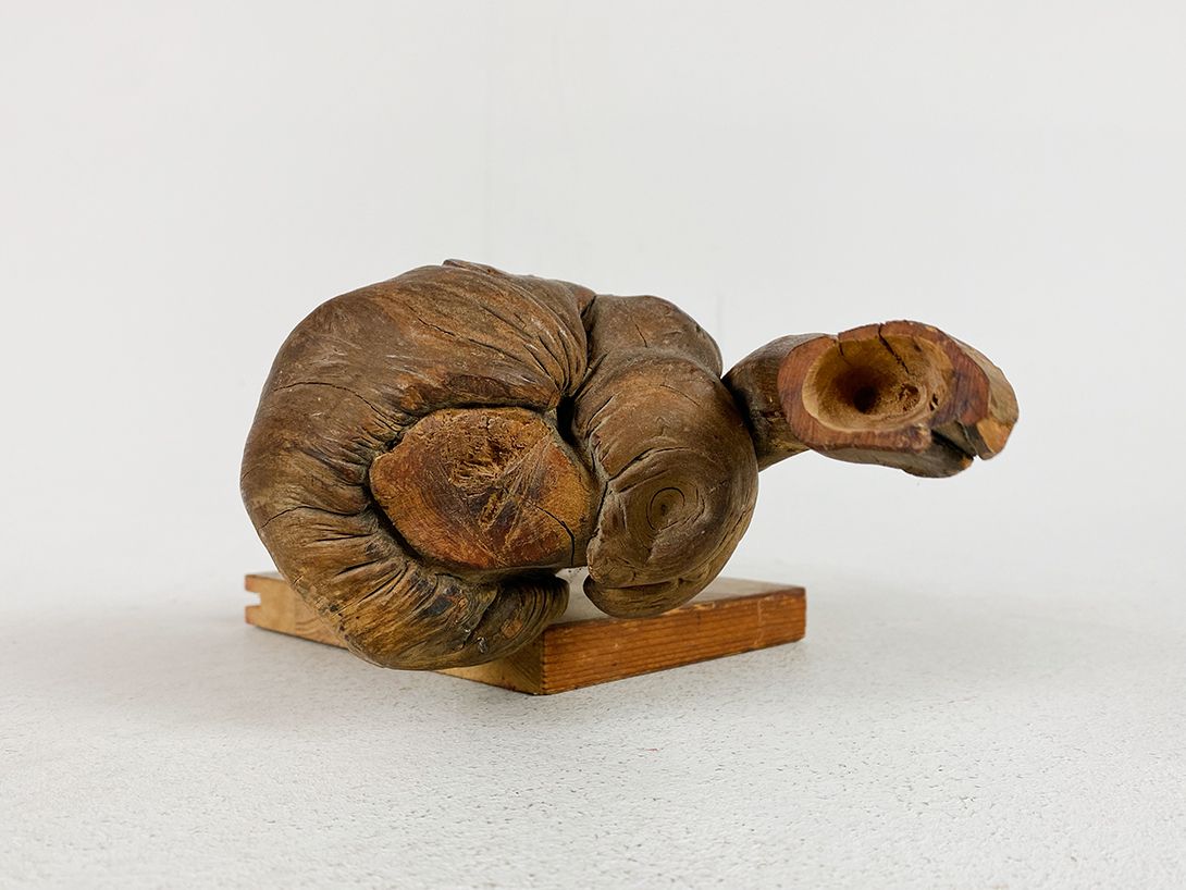 Foto Wooden Branch Sculpture h13x34x13