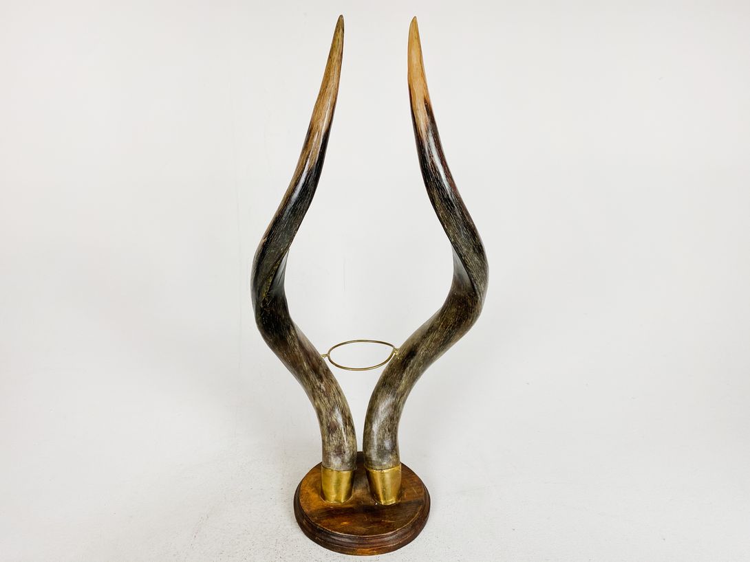 Foto Horn Vessel Holder h61x26x18