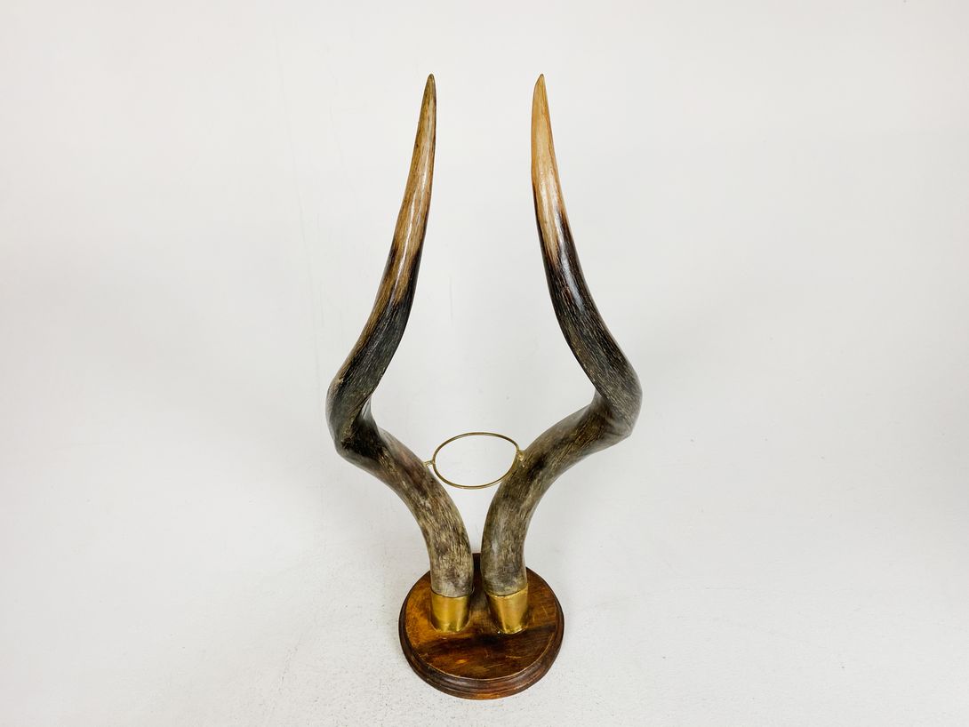 Foto Horn Vessel Holder h61x26x18