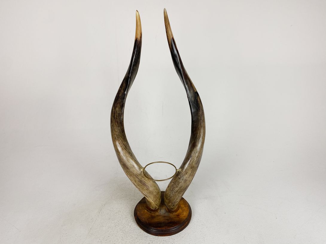 Foto Horn Vessel Holder h61x26x18