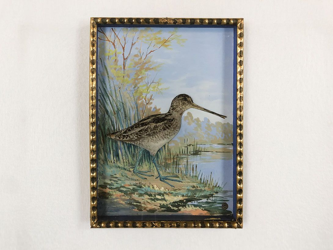 Foto Diorama Picture of a Duck with Real Feathers h37x27 18D11