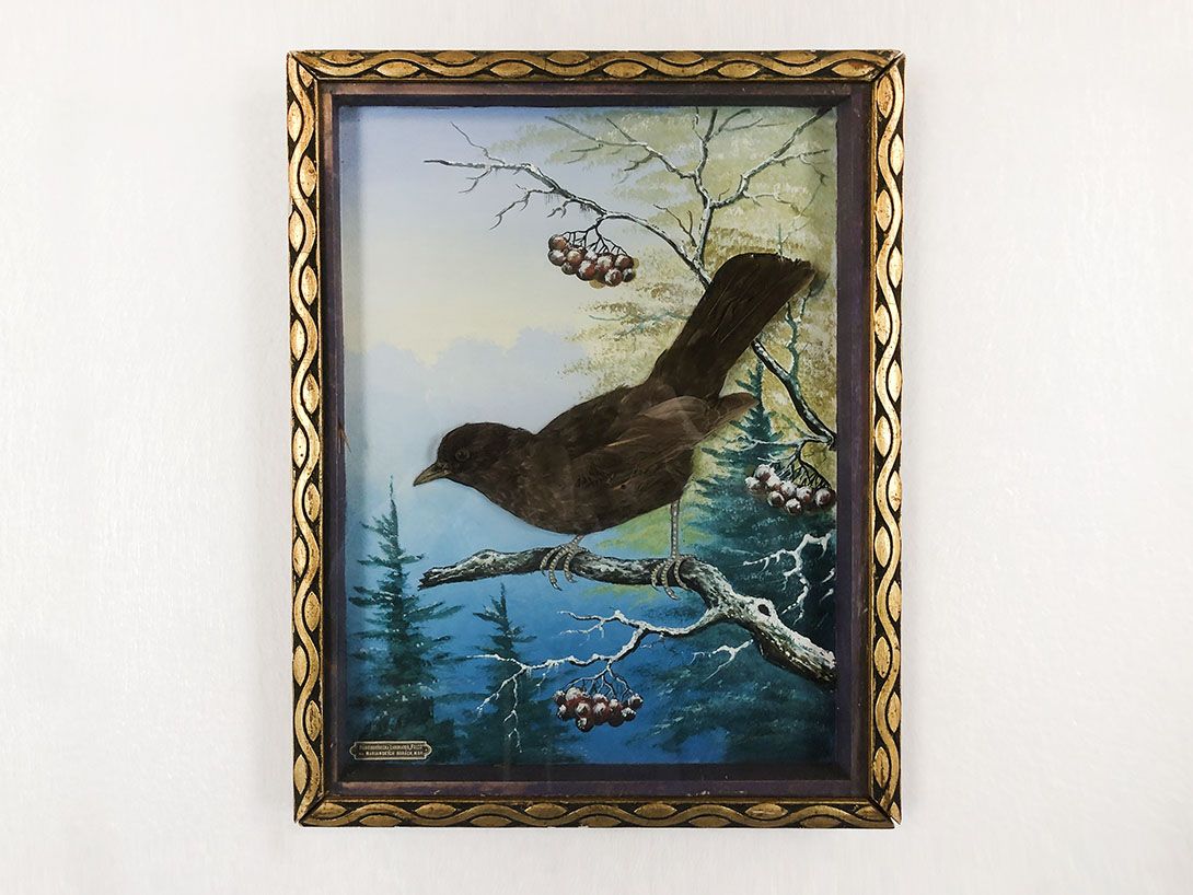 Foto Diorama Picture of a Bird with Real Feathers h39x30 18D10