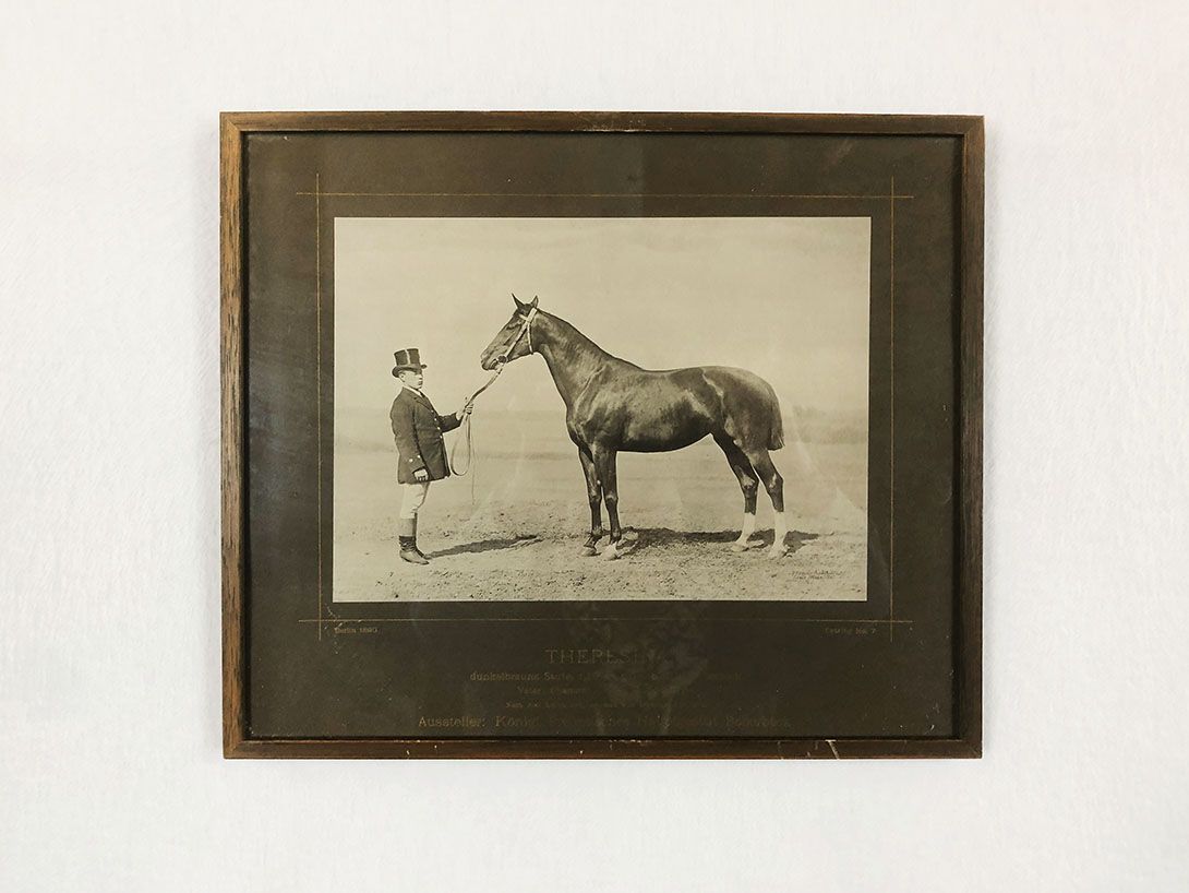 Foto Photography of a Man and his Horse Theresina, Berlin 1890 24B19
