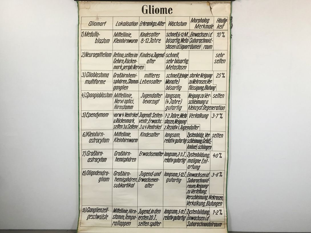 Foto Medical University Chart Gliome h225x145