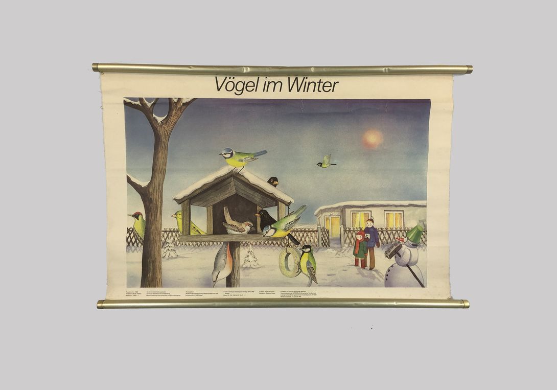 Foto School Chart Vögel im Winter GDR 1983 h66x102