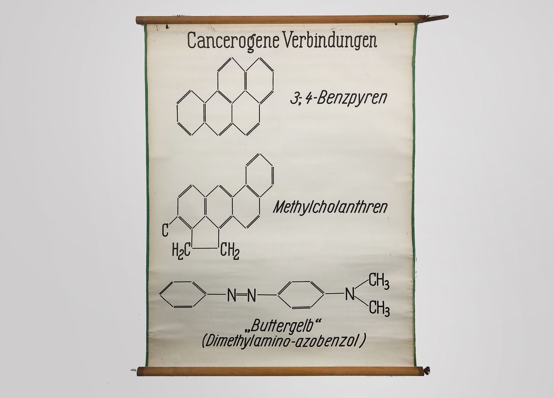 Foto Medical University Chart Cancerogene Verbindungen h132x102