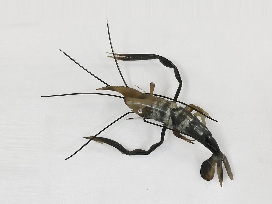 Foto Langouste