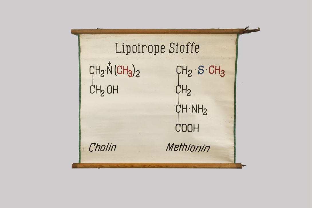 Foto University Chart Liptrope Stoffe h83x100
