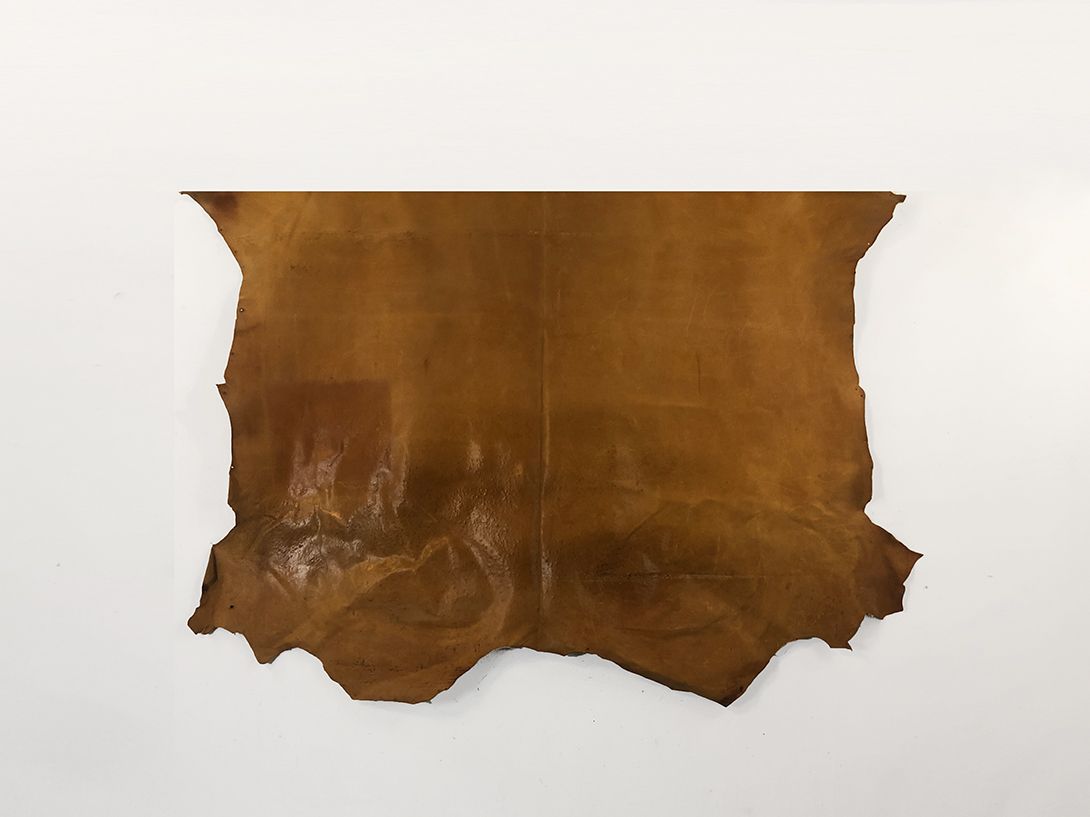 Foto Cow Leather 234x220cm