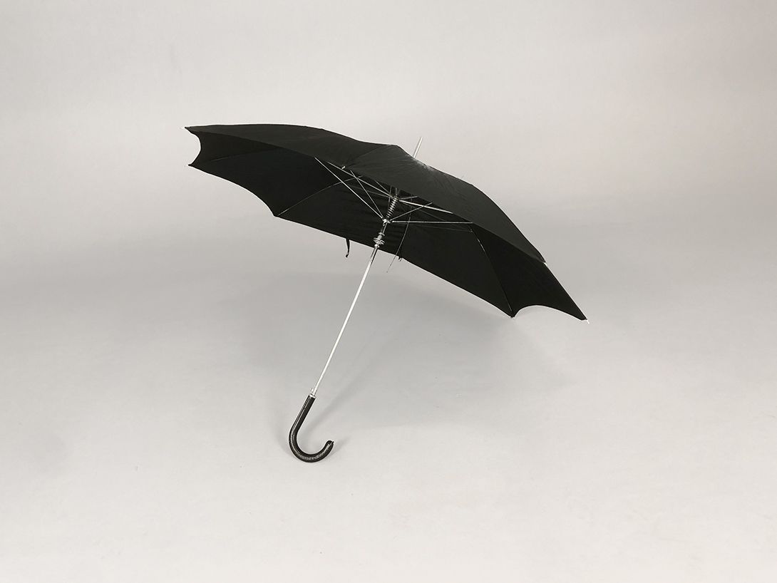 Foto Black Umbrella