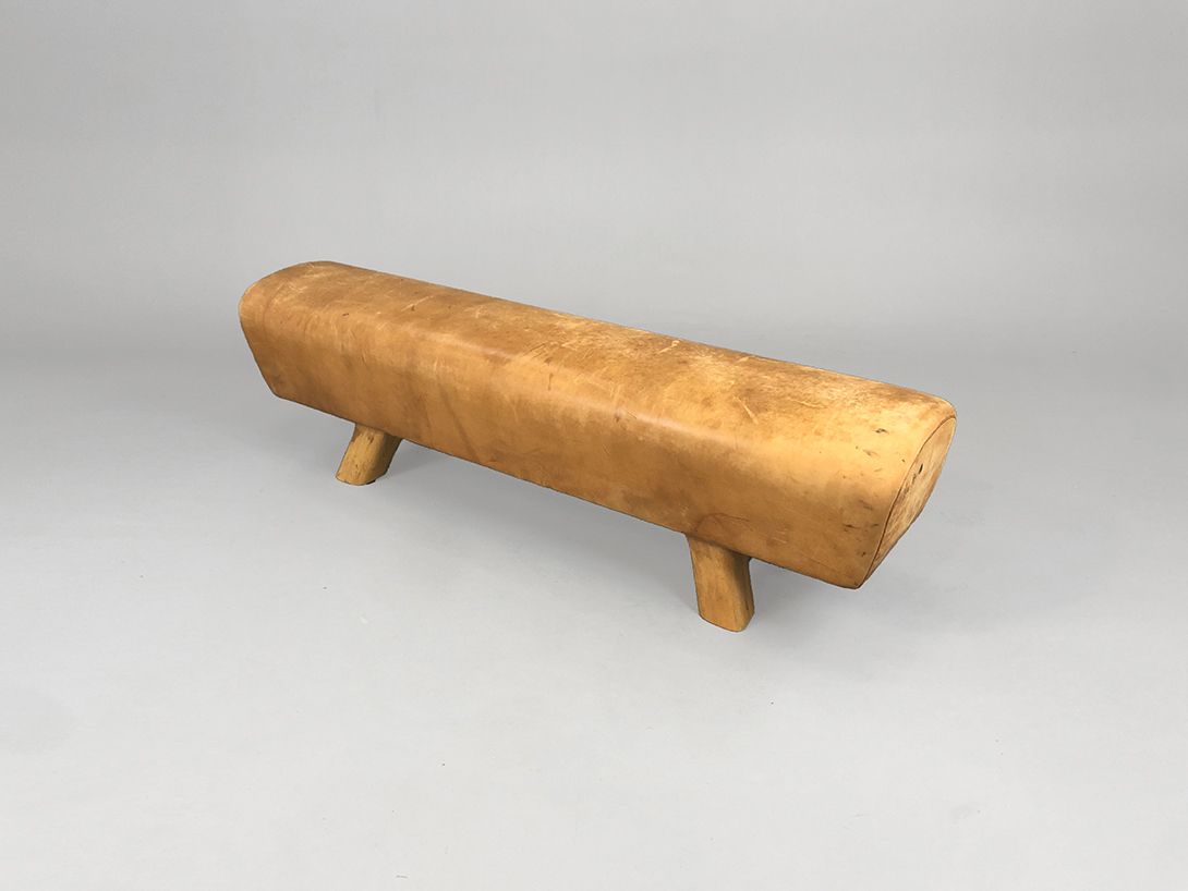 Foto Sports Horse Bench h44x164