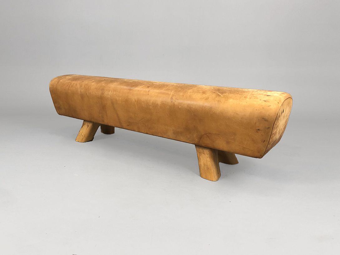 Foto Sports Horse Bench h44x164